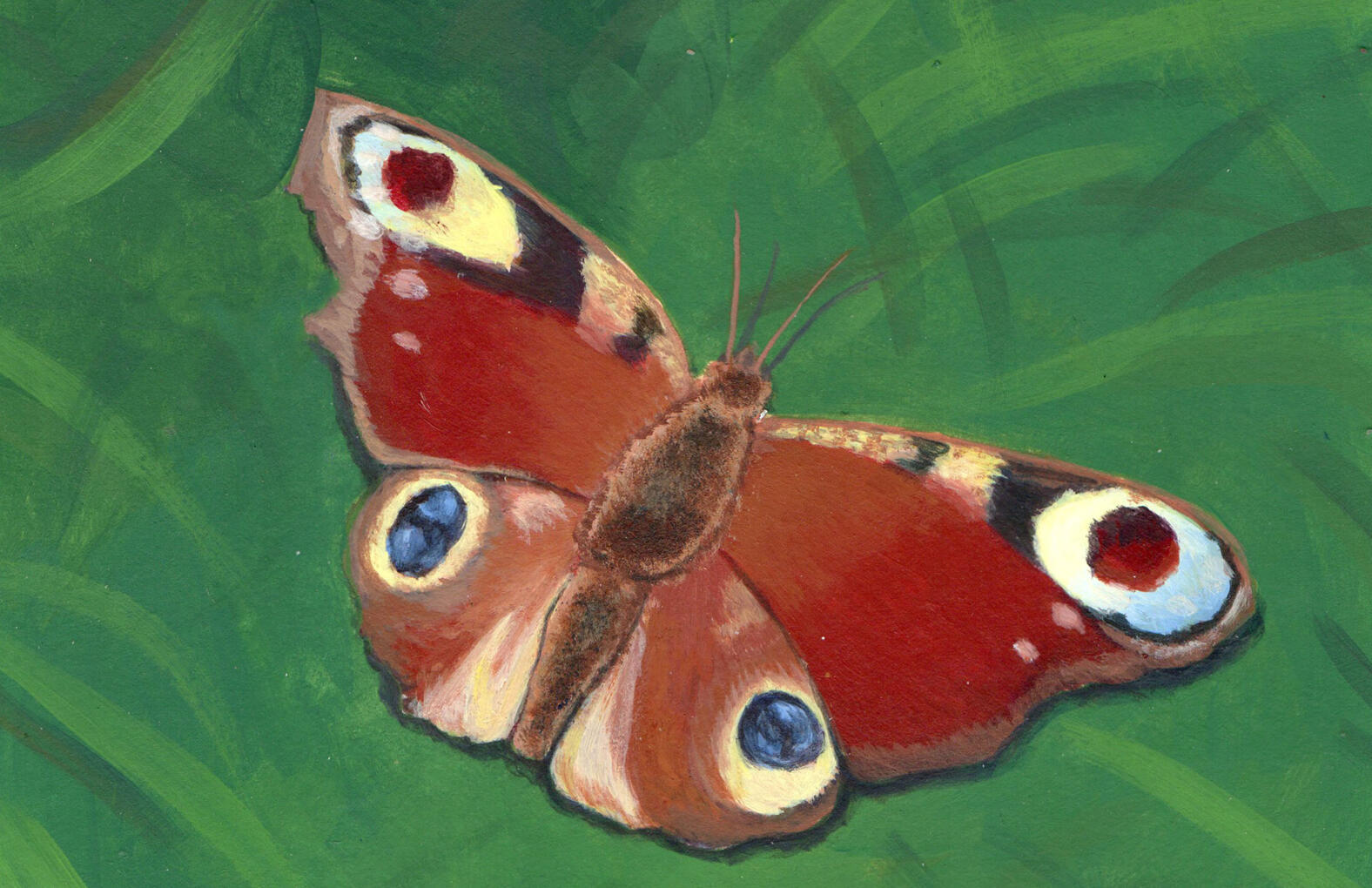 Extrait canson format A4