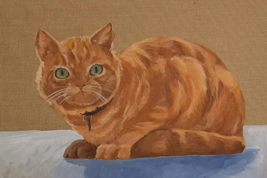 Carton entoilé 30*40cm Carton entoilé 30*40cm